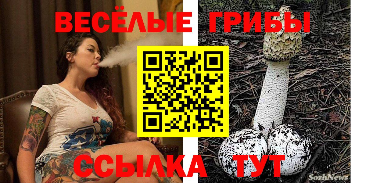 Псилоцибиновые грибы ЛСД  Вход с VPN  Карачаевск 